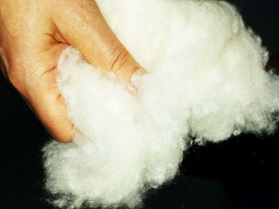 Sleep Clean: Organic Cotton from Natural Mattress