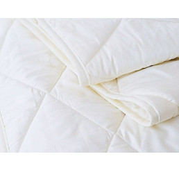 Vi-Spring Mattress Protector